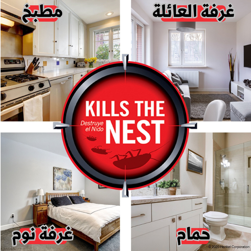 ouick _ دواء قاتل للصراصير والحشرات - 1SATOR.SHOP